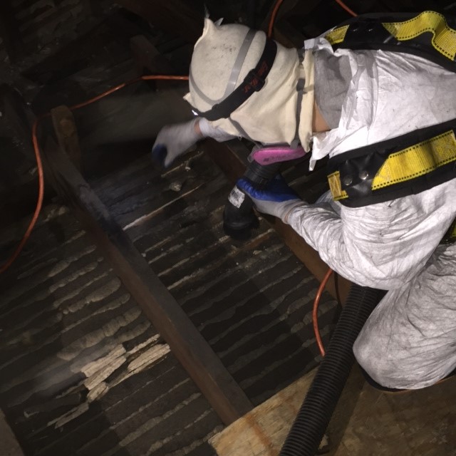 HPCS (USA) technician prepares ceiling for consolidation treatment